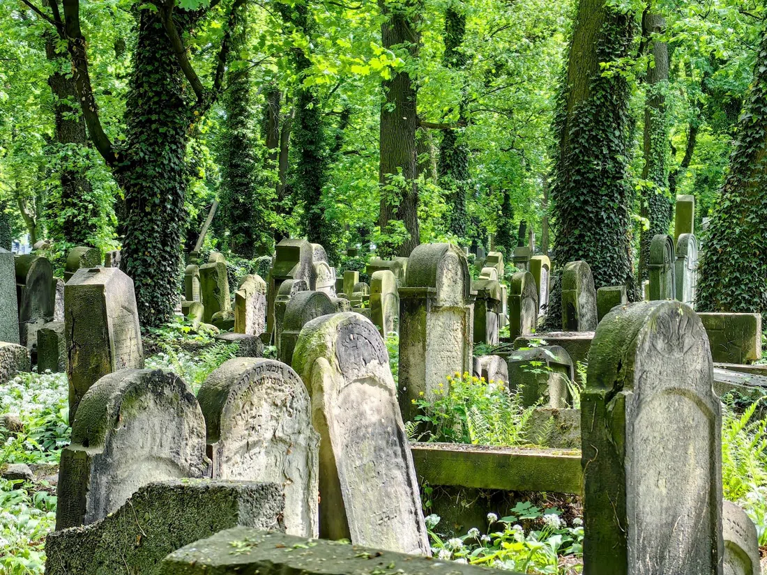 New Jewish Cemetery (Nowy Cmentarz Żydowski, ul. Miodowa 55), Krakow