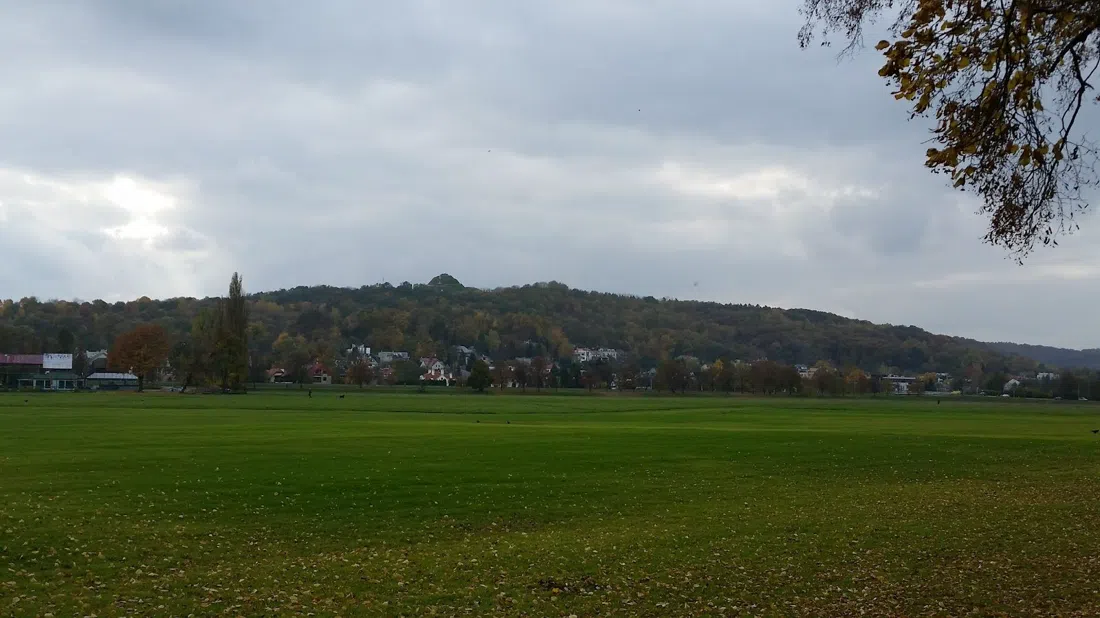 Błonia Meadow, Krakow