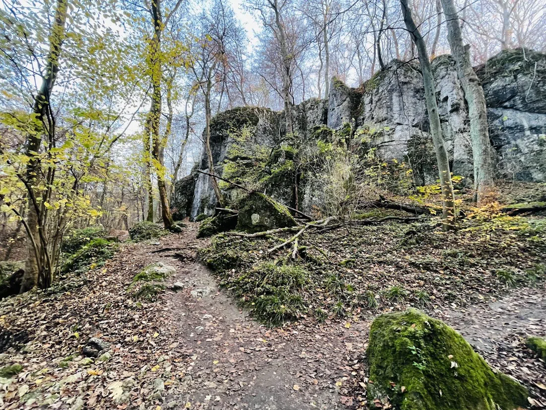 Panieńskie Skały nature reserve, Krakow