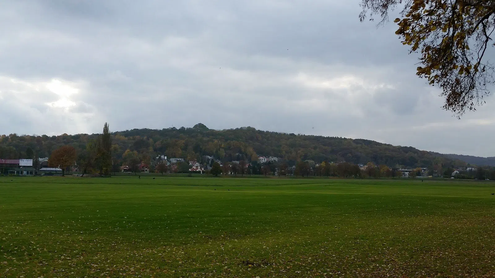 Błonia Meadow, Krakow