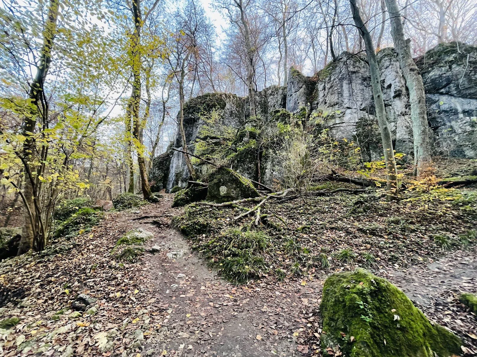Panieńskie Skały nature reserve, Krakow